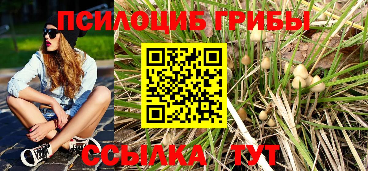 Псилоцибиновые грибы Psilocybe  Вход с VPN  Тверь  Галлюциногенные грибы Magic Shrooms 